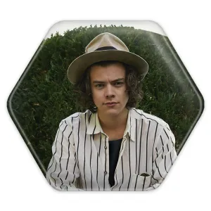 پیکسل شش ضلعی هری استایلز گروه موسیقی وان دایرکشن One Direction