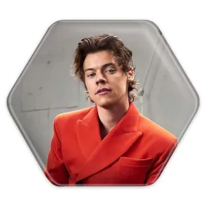 پیکسل شش ضلعی هری استایلز گروه موسیقی وان دایرکشن One Direction