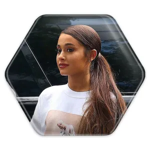 پیکسل شش ضلعی آریانا گرانده Ariana Grande