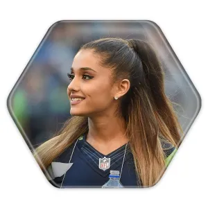 پیکسل شش ضلعی آریانا گرانده Ariana Grande