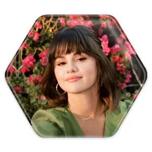 پیکسل شش ضلعی سلنا گومز Selena Gomez