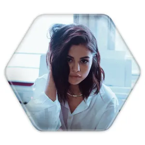 پیکسل شش ضلعی سلنا گومز Selena Gomez
