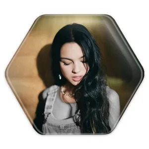 پیکسل شش ضلعی اولیویا رودریگو Olivia Rodrigo