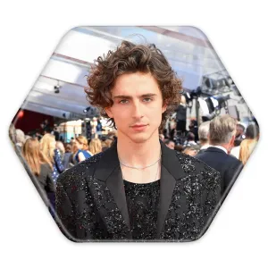 پیکسل شش ضلعی تیموتی شالامی Timothée Chalamet