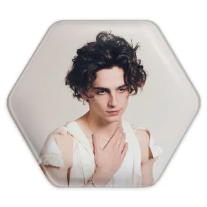 پیکسل شش ضلعی تیموتی شالامی Timothée Chalamet