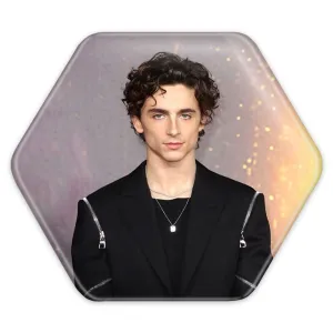 پیکسل شش ضلعی تیموتی شالامی Timothée Chalamet