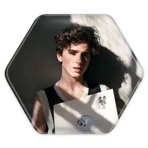 پیکسل شش ضلعی تیموتی شالامی Timothée Chalamet
