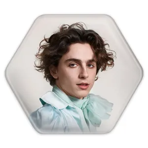 پیکسل شش ضلعی تیموتی شالامی Timothée Chalamet