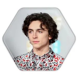پیکسل شش ضلعی تیموتی شالامی Timothée Chalamet