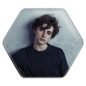 پیکسل شش ضلعی تیموتی شالامی Timothée Chalamet