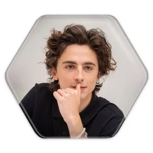 پیکسل شش ضلعی تیموتی شالامی Timothée Chalamet