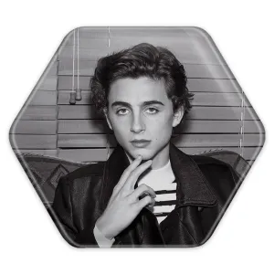 پیکسل شش ضلعی تیموتی شالامی Timothée Chalamet