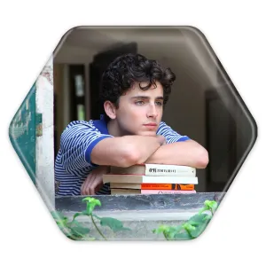 پیکسل شش ضلعی تیموتی شالامی Timothée Chalamet