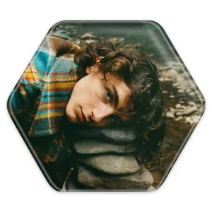 پیکسل شش ضلعی تیموتی شالامی Timothée Chalamet