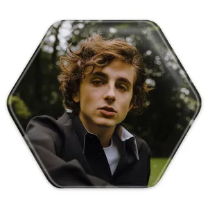 پیکسل شش ضلعی تیموتی شالامی Timothée Chalamet