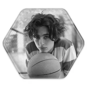پیکسل شش ضلعی تیموتی شالامی Timothée Chalamet