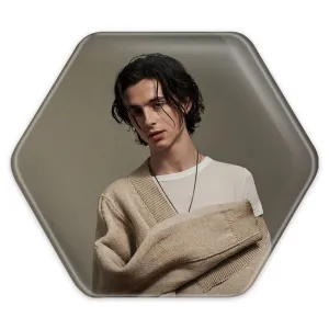 پیکسل شش ضلعی تیموتی شالامی Timothée Chalamet