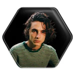 پیکسل شش ضلعی تیموتی شالامی Timothée Chalamet