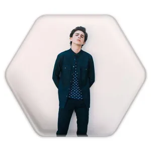 پیکسل شش ضلعی تیموتی شالامی Timothée Chalamet