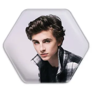 پیکسل شش ضلعی تیموتی شالامی Timothée Chalamet