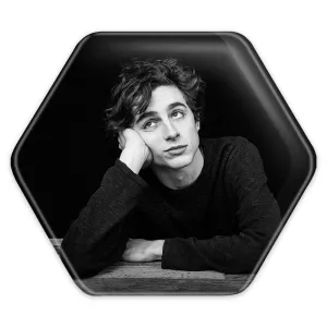 پیکسل شش ضلعی تیموتی شالامی Timothée Chalamet
