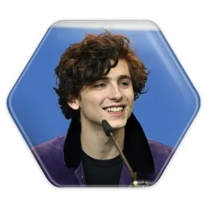پیکسل شش ضلعی تیموتی شالامی Timothée Chalamet