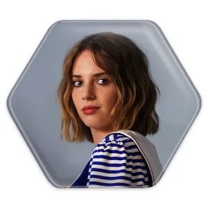پیکسل شش ضلعی رابین سریال استرنجر تینگز Stranger Things
