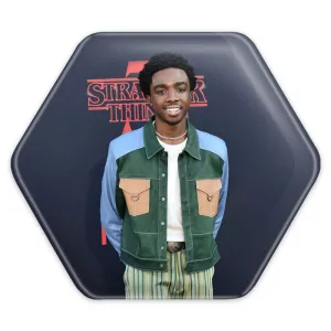 پیکسل شش ضلعی کیلب سریال استرنجر تینگز Stranger Things