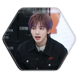 پیکسل شش ضلعی تهیون گروه تی اکس تی TXT