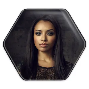 پیکسل شش ضلعی بانی خاطرات یک خون آشام The Vampire Diaries