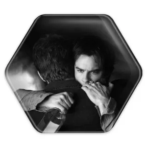 پیکسل شش ضلعی دیمون و استفان سالواتوره خاطرات یک خون آشام The Vampire Diaries