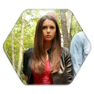 پیکسل شش ضلعی استفان و الینا خاطرات یک خون آشام The Vampire Diaries