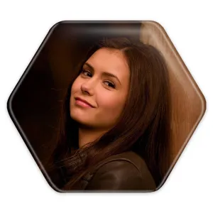 پیکسل شش ضلعی الینا گیلبرت خاطرات یک خون آشام The Vampire Diaries