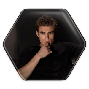 پیکسل شش ضلعی استفان سالواتوره خاطرات یک خون آشام The Vampire Diaries