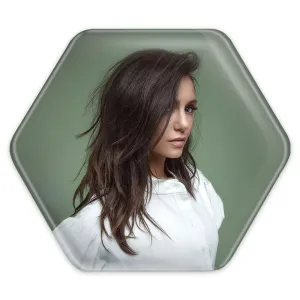 پیکسل شش ضلعی الینا گیلبرت خاطرات یک خون آشام The Vampire Diaries