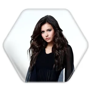 پیکسل شش ضلعی الینا گیلبرت خاطرات یک خون آشام The Vampire Diaries