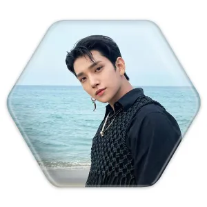 پیکسل شش ضلعی جاشوآ گروه سونتین Seventeen