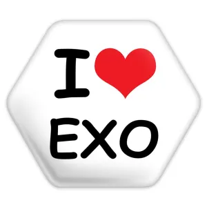 پیکسل شش ضلعی گروه موسیقی اکسو EXO