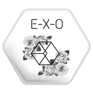 پیکسل شش ضلعی گروه موسیقی اکسو EXO