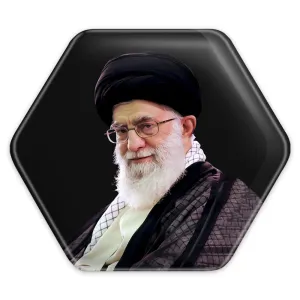 پیکسل شش ضلعی تصویر رهبر