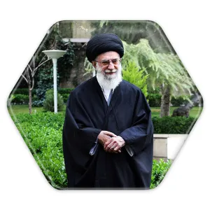 پیکسل شش ضلعی تصویر رهبر