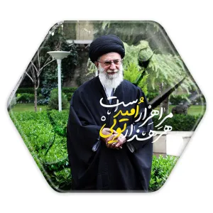 پیکسل شش ضلعی تصویر رهبر
