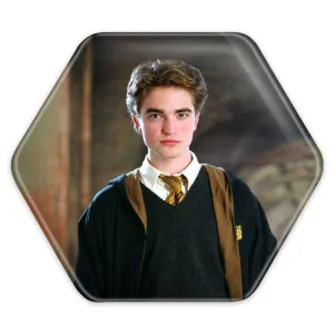 پیکسل شش ضلعی هری پاتر Harry Potter
