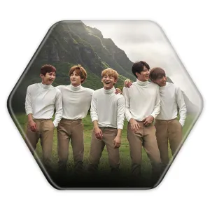 پیکسل شش ضلعی گروه موسیقی اکسو EXO