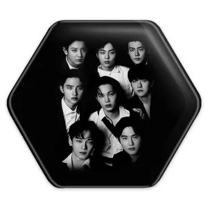 پیکسل شش ضلعی گروه موسیقی اکسو EXO