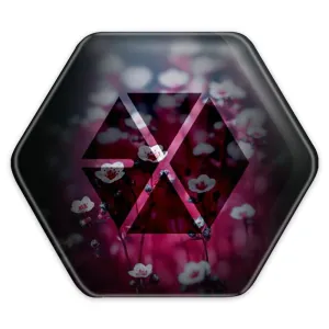 پیکسل شش ضلعی گروه موسیقی اکسو EXO