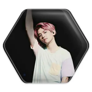 پیکسل شش ضلعی بکهیون گروه موسیقی اکسو EXO