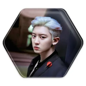 پیکسل شش ضلعی پارک چانیول گروه موسیقی اکسو EXO