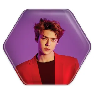 پیکسل شش ضلعی لوهان گروه موسیقی اکسو EXO