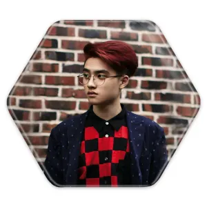 پیکسل شش ضلعی کیونگ سو گروه موسیقی اکسو EXO